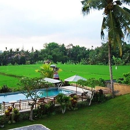 Nyoman Karsa Bungalow Ubud  Bagian luar foto